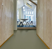 Forbo Marmoleum Decibel on Order 335535 rosemary green фото 3 | FLOORDEALER